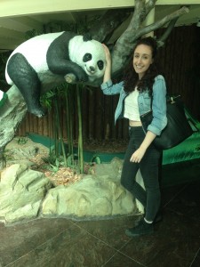Taipei Zoo - The only panda that was awake